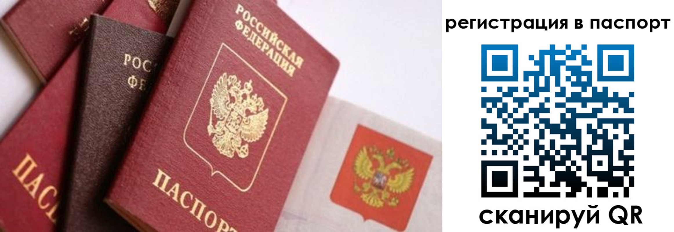 прописка в квартире в Иланском